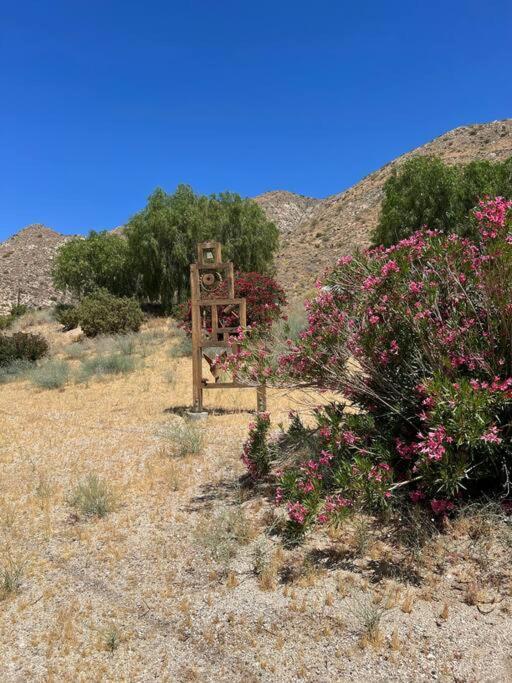 Two Pepper Ranch - A Desert Oasis Morongo Valley Eksteriør billede