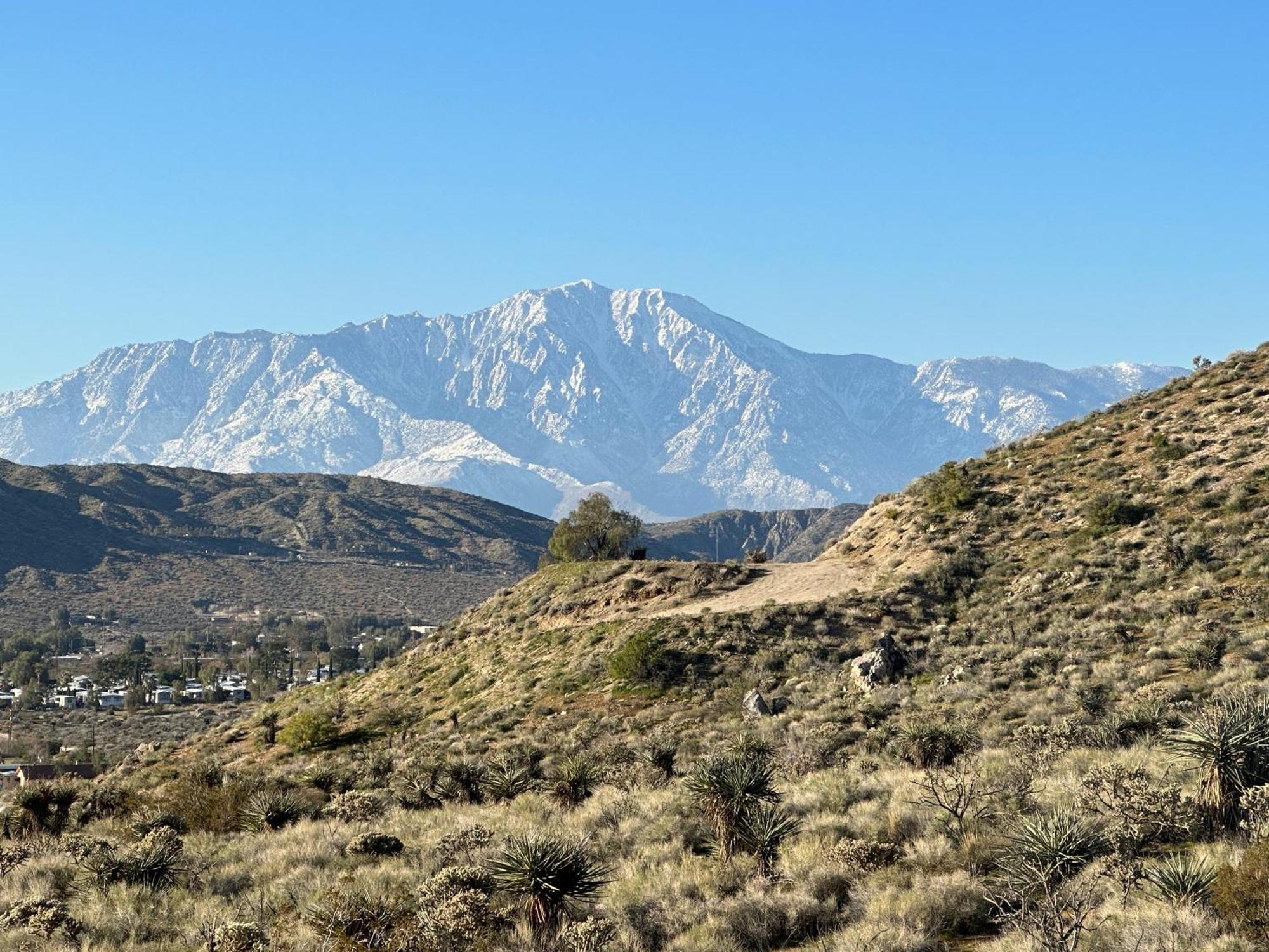 Two Pepper Ranch - A Desert Oasis Morongo Valley Eksteriør billede
